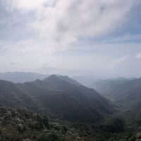 評論圖片 5