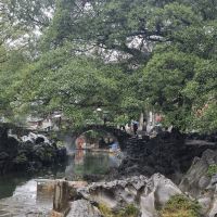 評論圖片 2
