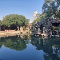 評論圖片 2