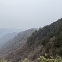 評論圖片 8