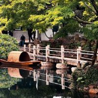 評論圖片 6