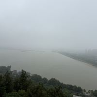評論圖片 7