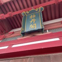 評論圖片 4