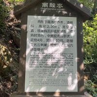 評論圖片 6