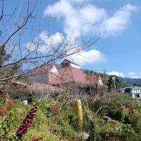 評論圖片 6