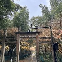 評論圖片 2