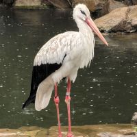 評論圖片 4