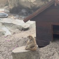 評論圖片 5