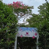 評論圖片 3