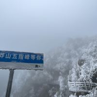評論圖片 9