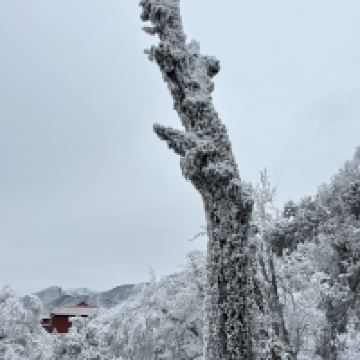 評論圖片 4