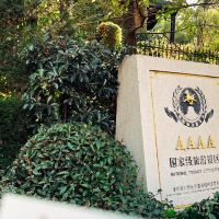 評論圖片 6