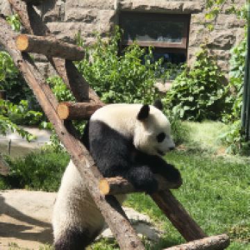 評論圖片 7