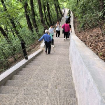 評論圖片 6