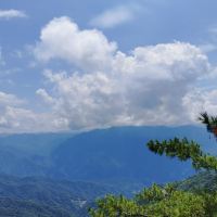 評論圖片 6
