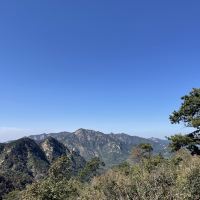 評論圖片 3