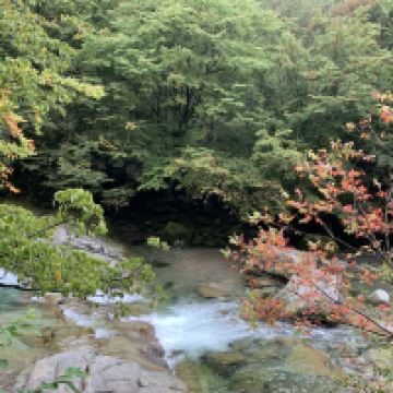 評論圖片 5