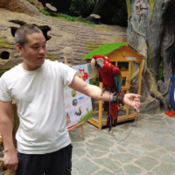評論圖片 8