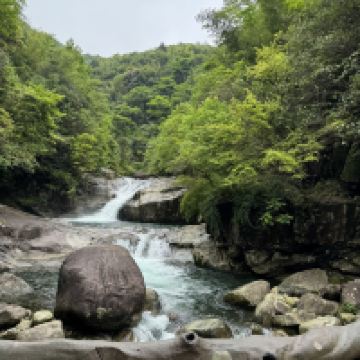 評論圖片 5