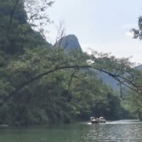 評論圖片 6