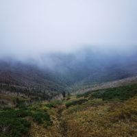 評論圖片 5