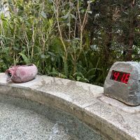 評論圖片 4