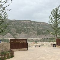 評論圖片 6