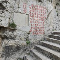 評論圖片 7