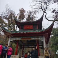 評論圖片 4