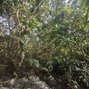 評論圖片 5