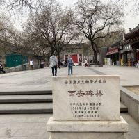 評論圖片 4