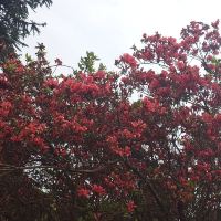 評論圖片 6