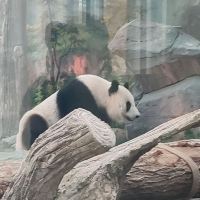 評論圖片 5