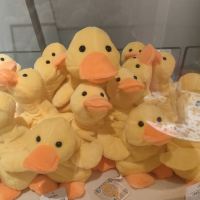 評論圖片 9