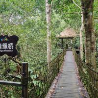 評論圖片 2