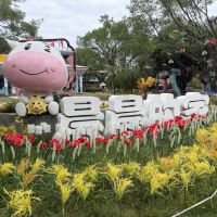 評論圖片 5