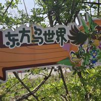 評論圖片 3