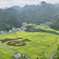 評論圖片 1