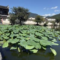 評論圖片 3
