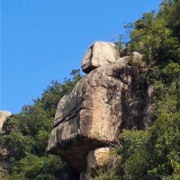 評論圖片 3