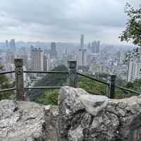 評論圖片 5