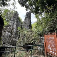 評論圖片 3
