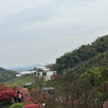 評論圖片 2