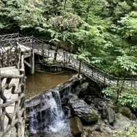 評論圖片 8