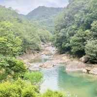 評論圖片 3