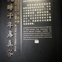評論圖片 2