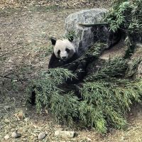 評論圖片 5