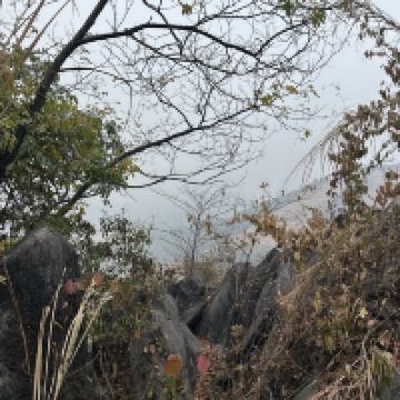 評論圖片 8