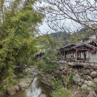 評論圖片 7