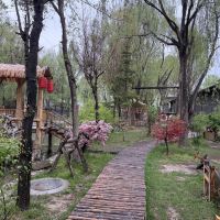 評論圖片 4